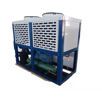 Тип коробки Bitzer Freezer Комнатный охлажденный воздухом Конденсационный блок Сильная оцинкованная сталь корпус r22/r404a/r407f