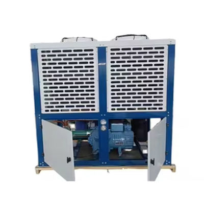 Тип коробки Bitzer Freezer Комнатный охлажденный воздухом Конденсационный блок Сильная оцинкованная сталь корпус r22/r404a/r407f