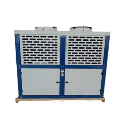 Тип коробки Bitzer Freezer Комнатный охлажденный воздухом Конденсационный блок Сильная оцинкованная сталь корпус r22/r404a/r407f