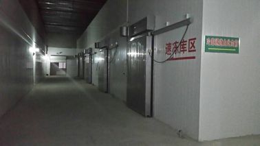 Комната панели сэндвича ПУ полуфабрикат холодная Пре охлаждая тип двери секционный